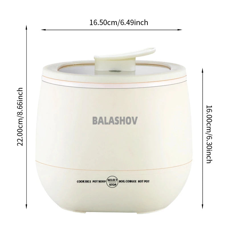 Lightweight and easy-to-carry NNEOBA mini rice cooker for travel and small spaces