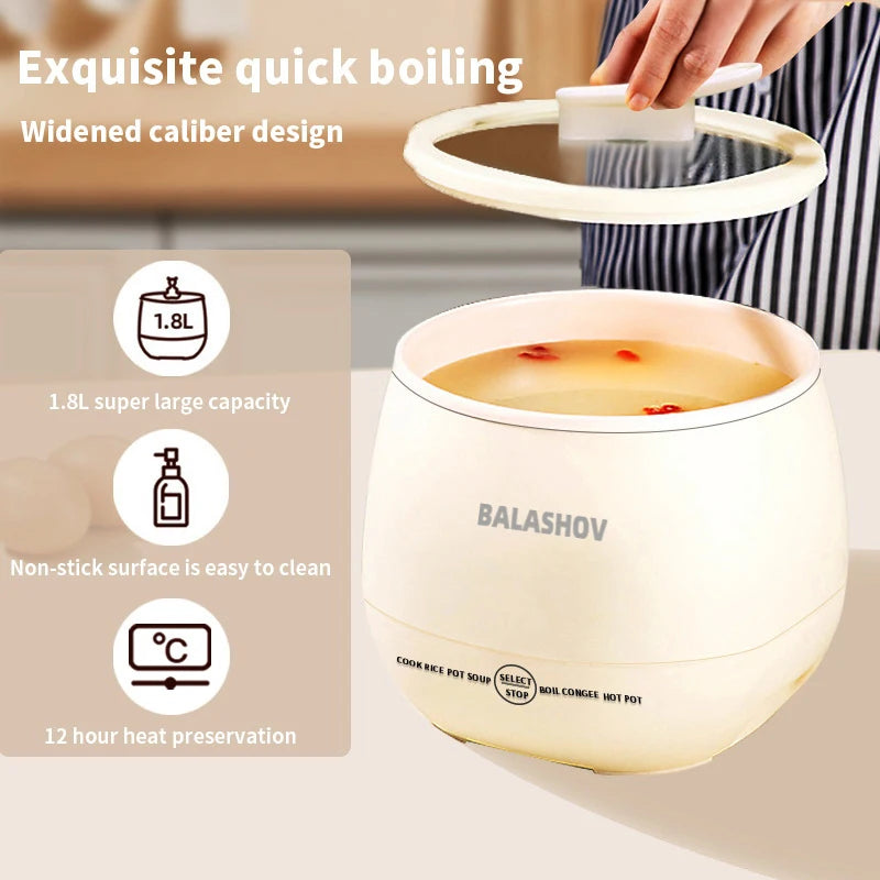 Variety of dishes cooked using the multifunctional mini rice cooker